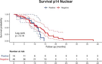 P14/ARF-Positive Malignant Pleural Mesothelioma: A Phenotype With Distinct Immune Microenvironment